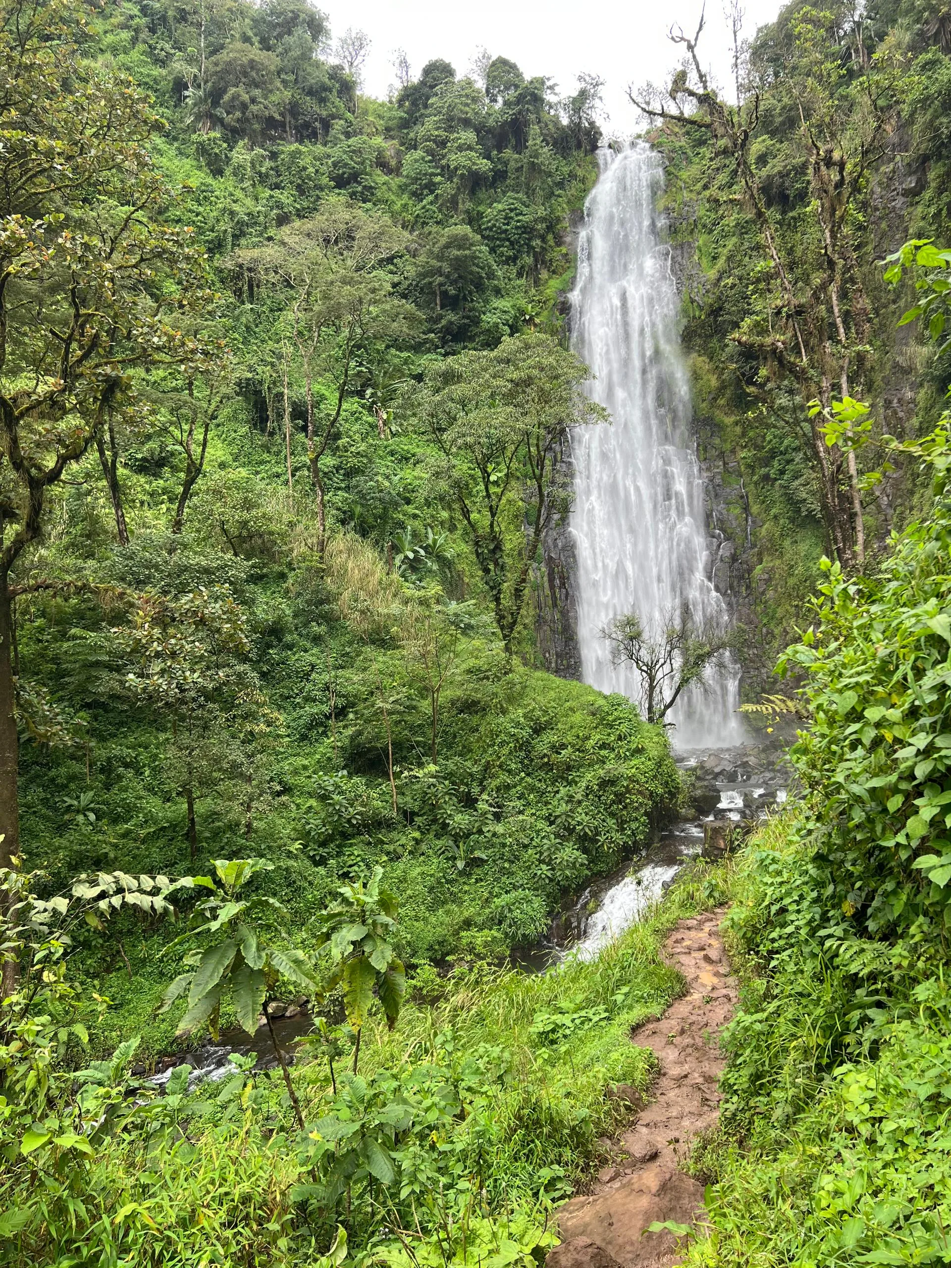 Materuni Waterfall Tour — A guided walk through coffee farms and village countryside to one of the Kilimanjaro region's most beautiful waterfalls.