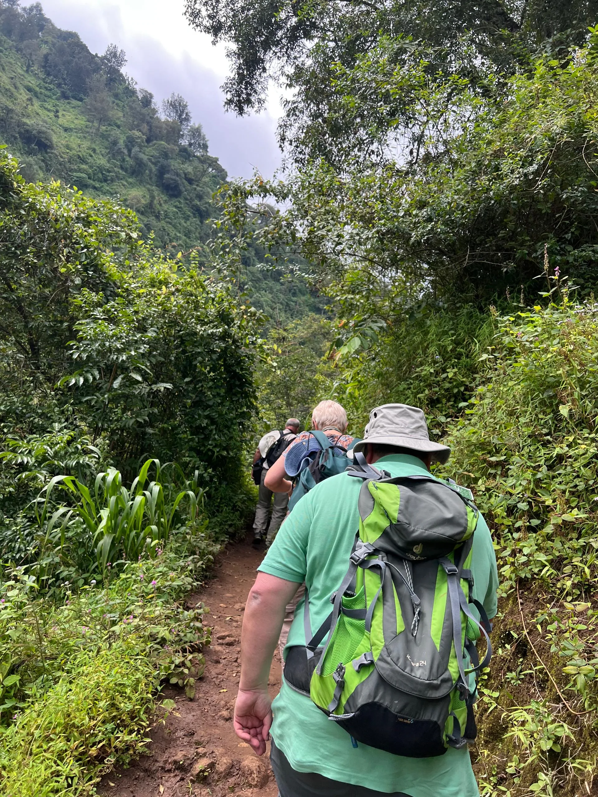 Guided walkers on the forest trail to Materuni Waterfall