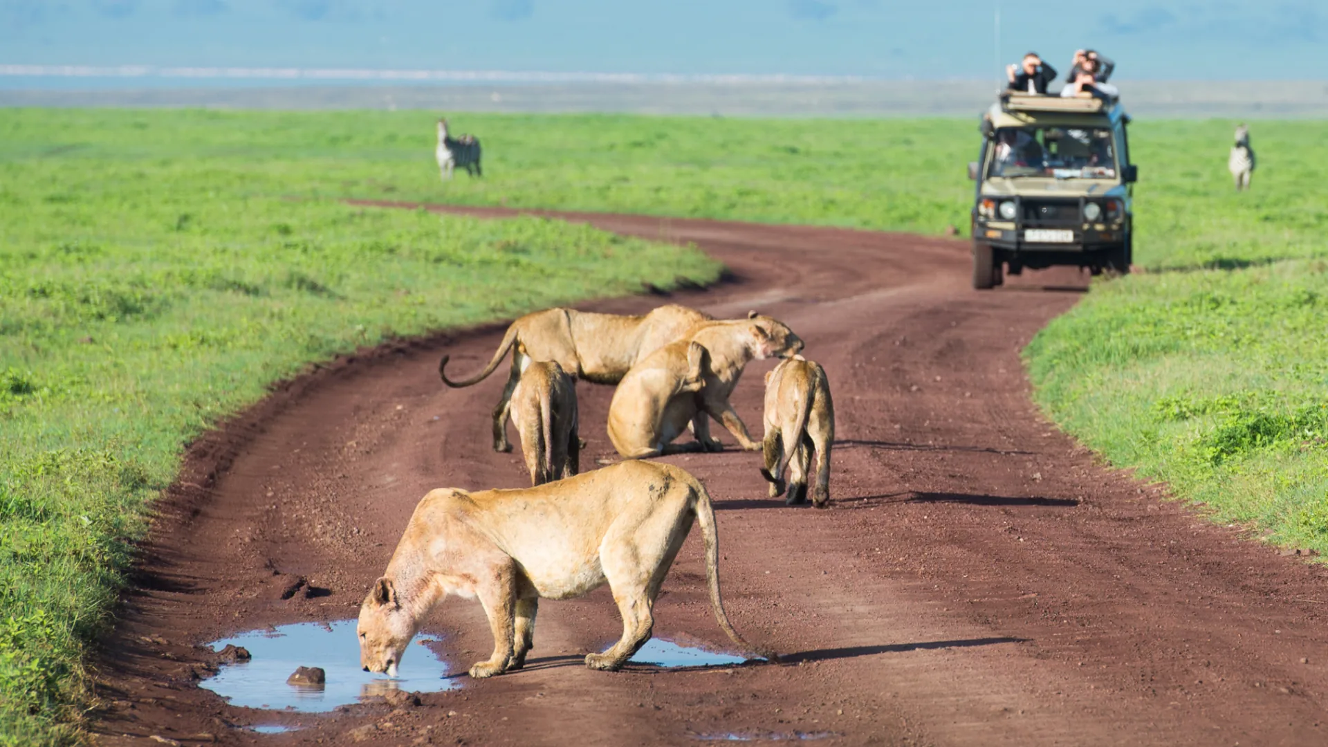 Ngorongoro Crater Escape — Three days that turn limited time into a complete Tanzania wildlife story.