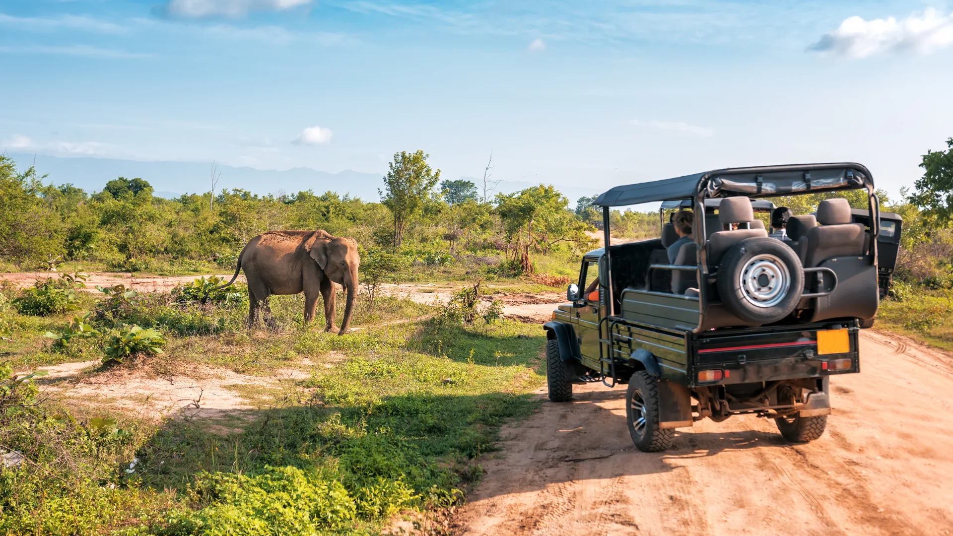 An elephant beside a safari vehicle on a Tanzanian bush track