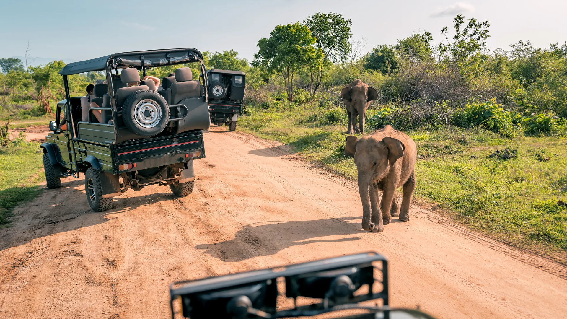 Tarangire & Ngorongoro Essentials — A four-day private safari built around two of northern Tanzania's strongest wildlife landscapes.
