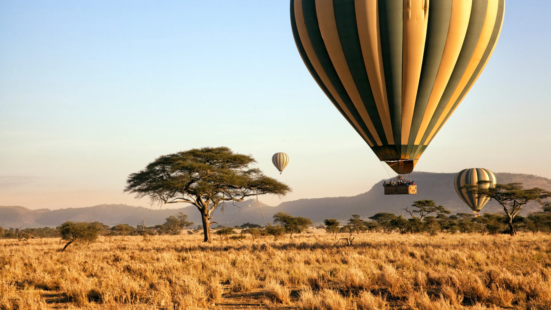 Serengeti & Ngorongoro Icons — Seven days for the Tanzania safari most first-time travellers are already dreaming about.